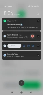 Screenshot_2024-03-17-20-06-14-130_com.paymaya.webp Screenshot_2024-03-17-20-06-14-130_com.paymaya.webp