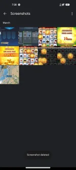 1000000210.webp