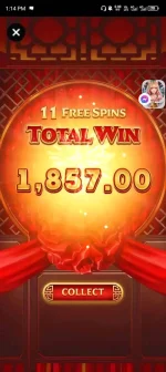FB_IMG_17122675509236260.webp FB_IMG_17122675509236260.webp