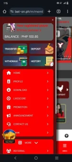 Screenshot_20240417_011516.jpg