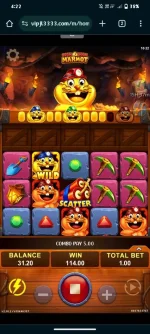 Screenshot_20240510_162254.jpg