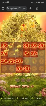 Screenshot_2024-05-23-17-20-55-1765129436.webp