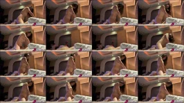 izfdlssale3nt0p1.webp