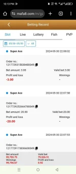 Screenshot_20240530-221319.webp
