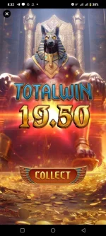 1000030066.webp 1000030066.webp