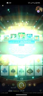 1000007960.webp
