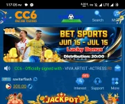 Screenshot_20240619-131706_CC6.png