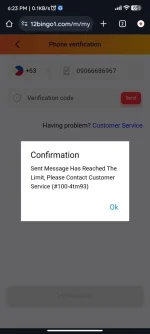 Screenshot_2024-06-20-18-23-10-502_com.android.chrome.webp
