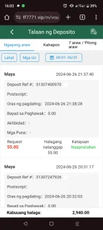 Screenshot_20240627-160316.webp