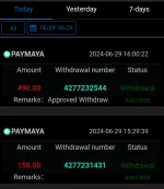 Screenshot 2024-06-29 162756.webp