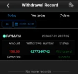 Screenshot 2024-07-01 204001.webp