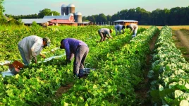 farming.webp