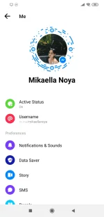 Screenshot_2019-03-16-23-17-23-181_com.facebook.orca.png Screenshot_2019-03-16-23-17-23-181_com.facebook.orca.png