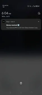 Screenshot_20240708-060454.webp