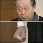 FB_IMG_1716592309103.webp