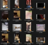 Screenshot 2024-07-14 165858.webp Screenshot 2024-07-14 165858.webp