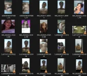 Screenshot 2024-07-14 173332.png