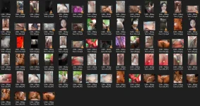 Untitled 1.webp