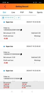 Screenshot_2024-07-18-22-58-21-22.webp
