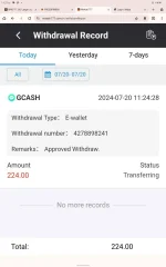 Screenshot_2024-07-20-11-27-19-588.webp