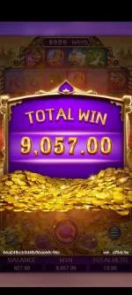1000042446.webp 1000042446.webp