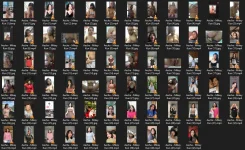 Untitled 1.webp