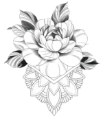 Untitled5_20240805015157.webp