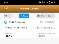 Screenshot_2024_0813_212010.webp