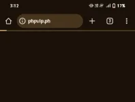Screenshot_2024_0815_031207.webp