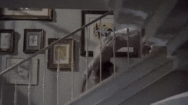 200.gif 200.gif