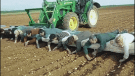 farmer-icegif-7.gif