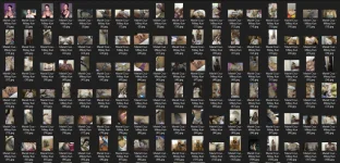 Untitled.webp
