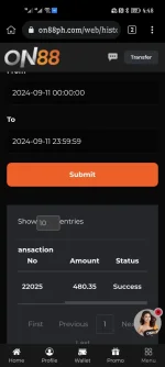 Screenshot_20240911_164818_com.kiwibrowser.browser.webp Screenshot_20240911_164818_com.kiwibrowser.browser.webp