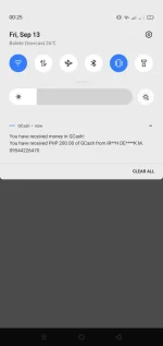 Screenshot_2024-09-13-00-25-59-80.jpg