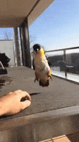 200.gif 200.gif