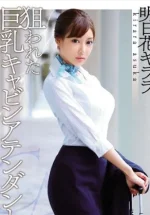 1726305223480.webp