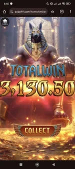 1000007012.webp
