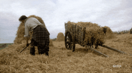 200.gif