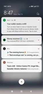 Screenshot_2024-09-16-20-47-27-388_com.android.chrome.webp