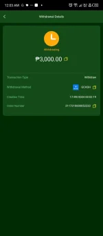 Screenshot_20240917-000323.webp