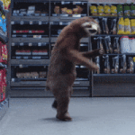 200.gif 200.gif