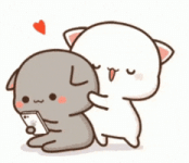 200.gif 200.gif