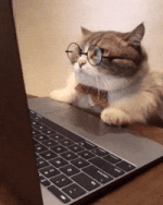 1727259938755.gif