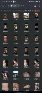 Screenshot_20241008-192138.webp