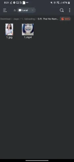 Screenshot_20241008-202139.webp