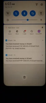 17295482193623329532485154338758.webp 17295482193623329532485154338758.webp