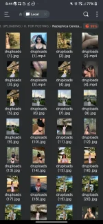 Screenshot_20241026-084426.webp