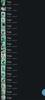 1000018238.jpg
