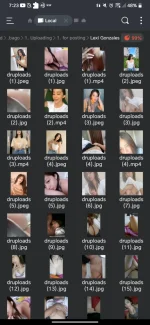Screenshot_20241028-192322.webp