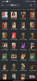 Screenshot_20241029-064530.webp